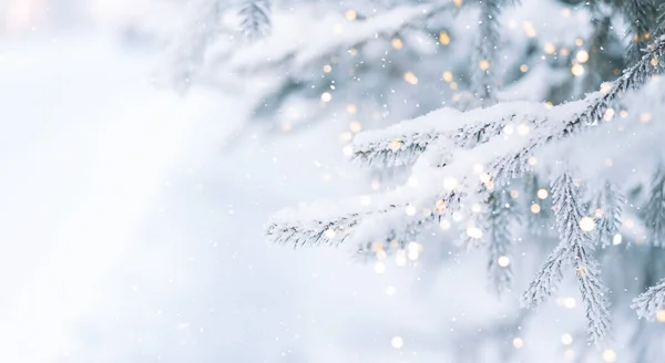 Kívül Karácsonyfa Hóban Háttér Fények — Stock Fotó