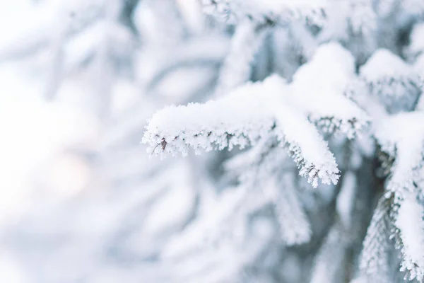 눈덮인 크리스마스 밖에서 — 스톡 사진