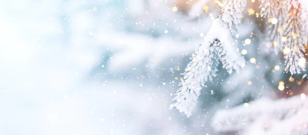 Fora Árvore Natal Fundo Neve Com Luzes Guirlandas Neve Caindo — Fotografia de Stock