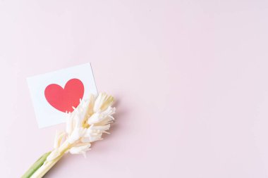 Çiçekli beyaz sümbül, pembe arka planda bir kart..