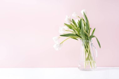 Cam sürahide pembe arka planda beyaz laleler..