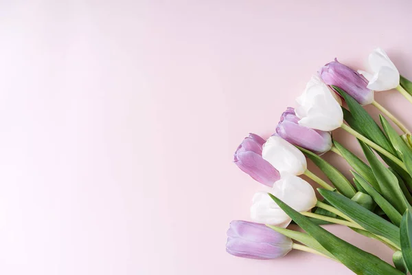 stock image Bouquet of white and purple tulips on a pink background.