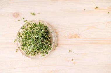 Ahşap masadaki cam tabakta mikroyeşil filizler.