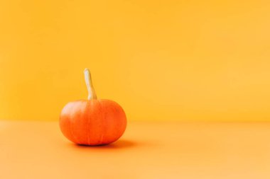 Sarı arka planda küçük olgun balkabağı.