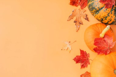 Turuncu arka planda kuru akçaağaç yapraklarıyla farklı renklerde üç olgun balkabağı..