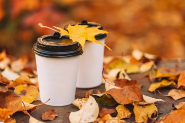 Sarı yaprakların önündeki açık hava çimlerinde iki fincan kahve..