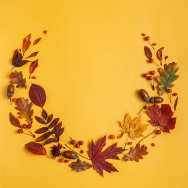 Böğürtlen ve meşe palamudu ile kuru yapraklar sarı bir arka planda daire şeklinde uzanır..