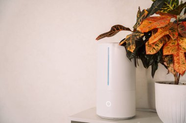 Beyaz arka planda ev bitkisinin yanında ultrasonik nemlendirici var..