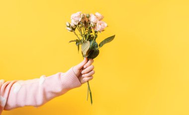 Sarı arka planda pembe gül buketi tutan kadın..