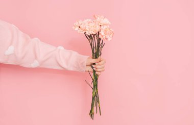 Bir buket karanfil bir kadının elinde pembe bir arka planda.