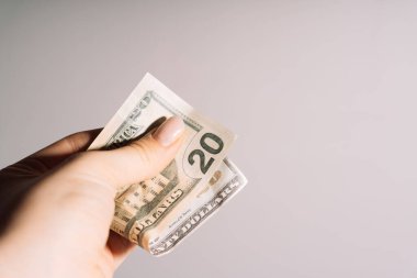 Bir kadının avucunda 20 dolarlık banknot var. Yüksek kalite fotoğraf