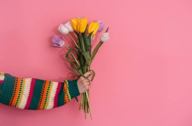 Kadın eli, pembe arka planda bir buket lale tutuyor..