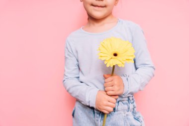 Anneler Günü 'nde elinde çiçek tutan çocuk pembe bir arka planda..