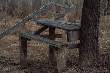 Masası olan kırık bir ahşap bank bir ağacın yanında ve nehrin yanında duruyor. Yüksek kalite fotoğraf