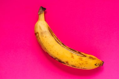 Canlı, pembe bir arka planda olgun bir muz. Popüler sanat tarzında minimalist ve cesur bir hayat. Yüksek kalite fotoğraf