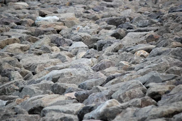 Deniz Kıyısındaki Taşların Arka Planı — Stok fotoğraf