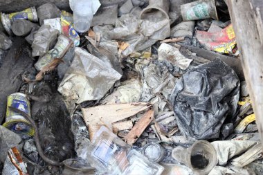 Çöp ve leş dolu pis oluklar.