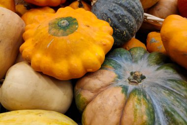 Bir market tezgahındaki çeşitli Cucurbits yığınına yakın çekim.