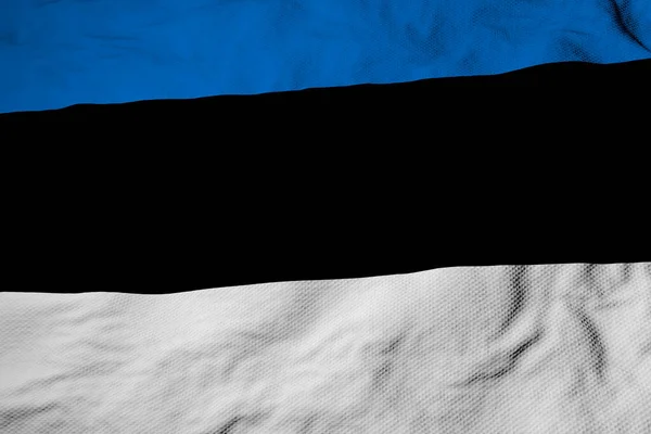 Görüntüleme Ile Estonya Bayrağının Dalgalanışını Tam Kare Olarak Görüntüle — Stok fotoğraf