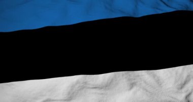 3D görüntüleme ile Estonya bayrağının dalgalanışını tam kare yap.