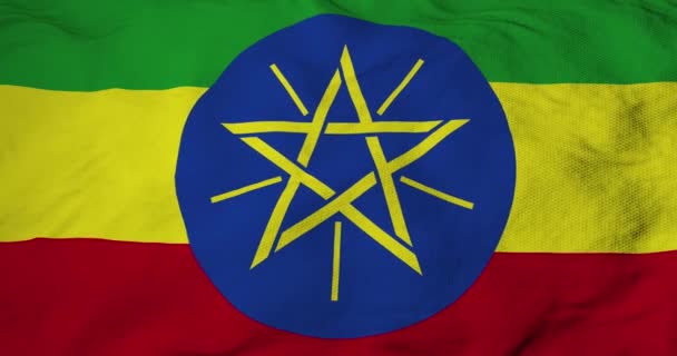 Volledig Frame Close Van Wapperende Vlag Van Ethiopië Weergave — Stockvideo