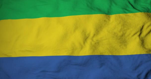 Kompletní Snímek Zblízka Vlajce Gabonu Vykreslování — Stock video