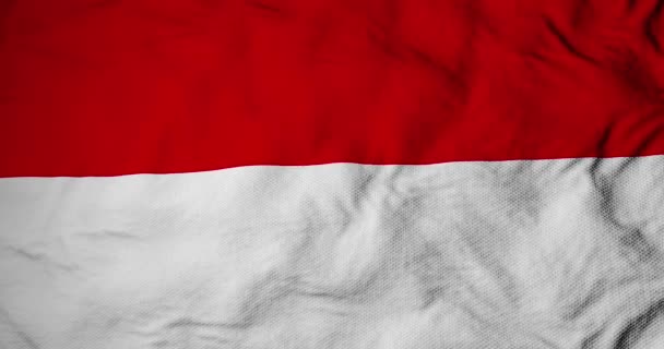 Kompletní Snímek Zblízka Vlajce Vlnění Indonésie Vykreslování — Stock video