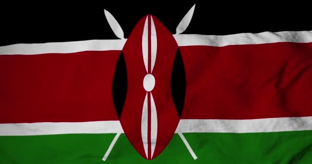 Full Frame Close Waving Flag Kenya Rendering — Stock Video