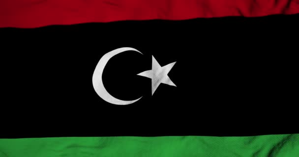 Повна Рама Розмахуючому Прапорі Лівії Рендерингу — стокове відео