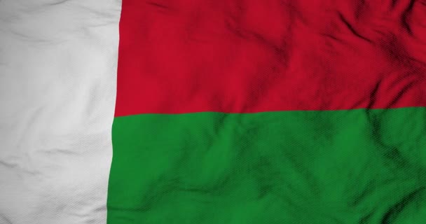Kompletní Snímek Zblízka Vlajce Madagaskaru Vykreslování — Stock video