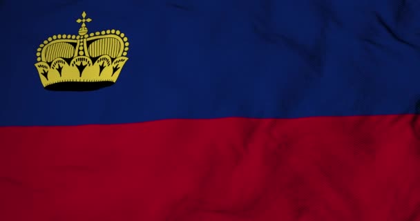 Kompletní Snímek Zblízka Vlnící Vlajce Lichtenštejnska Vykreslování — Stock video