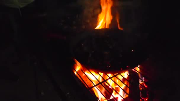 Roosteren Kastanjes Een Doorboorde Koekenpan Het Vuur Nachts — Stockvideo