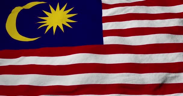 Primer Plano Cuadro Completo Bandera Malasia Renderizado — Vídeos de Stock