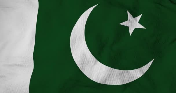 Kompletní Snímek Zblízka Vlajce Pákistánu Vykreslování — Stock video