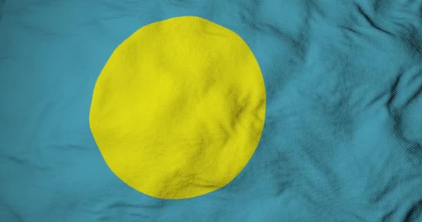 Full Frame Close Waving Flag Palau Rendering — Stock Video