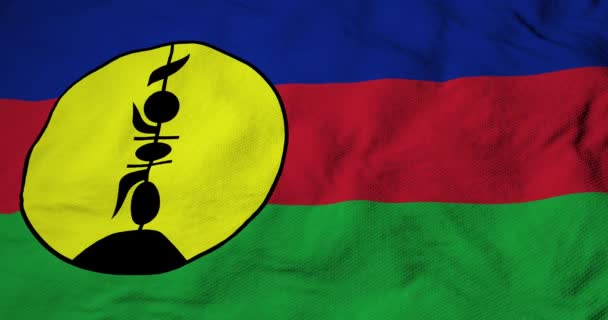 Full Frame Close Waving Flag New Caledonia Rendering — Stock Video