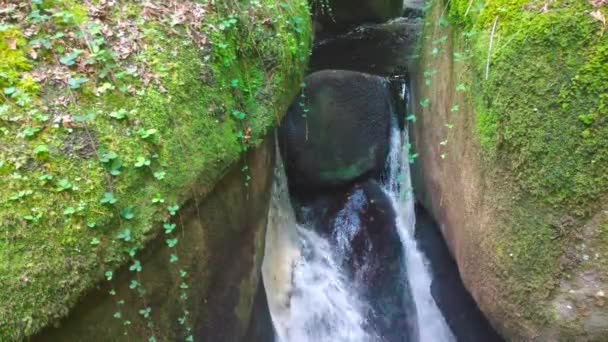 Gümüş Nehir Huelkeçi Ormanındaki Uçurumdan Geçiyor — Stok video