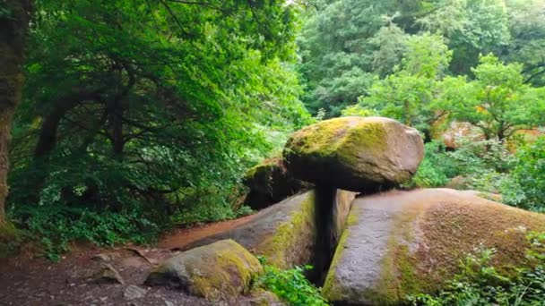 Ворота Подібні Випалювання Валунів Лісі Уельгоат Бретані — стокове відео