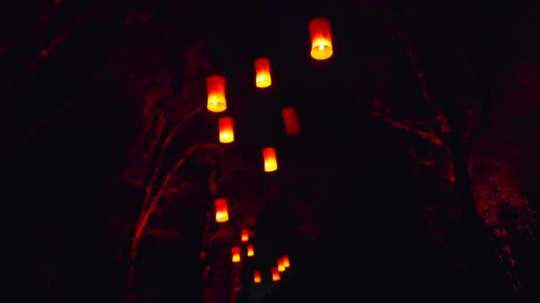 Groep Hemellantaarns Hangend Aan Bomen Tijdens Een Winternacht — Stockvideo