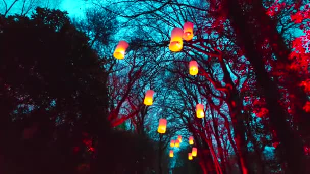 Grupo Lanternas Céu Penduradas Nas Árvores Durante Uma Noite Inverno — Vídeo de Stock