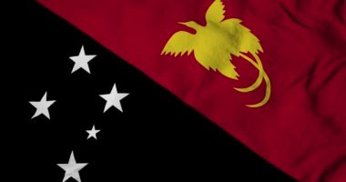Waving flag of Papua New Guinea in 3D rendering