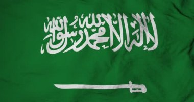 Waving flag of Saudi Arabia in 3D rendering