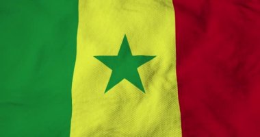 Waving flag of Senegal in 3D rendering