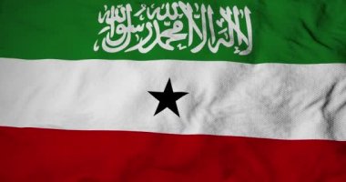 Waving flag of Somaliland in 3D rendering