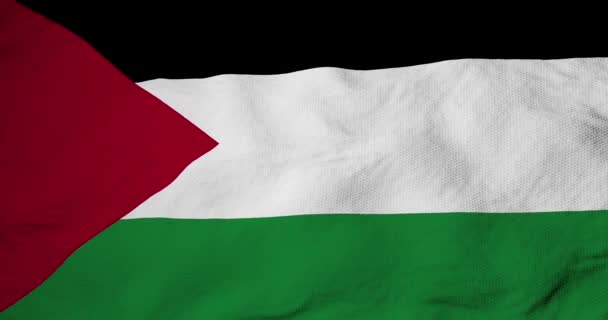 Waving Flag Palestine Rendering — Stockvideo