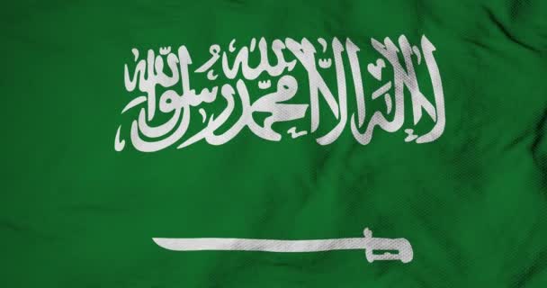Waving Flag Saudi Arabia Rendering — Stok video