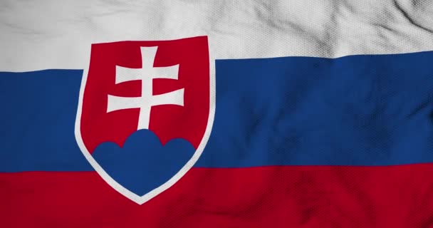 Waving Flag Slovakia Rendering — Stockvideo