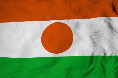 Full frame close-up on a waving flag of Niger in 3D rendering.