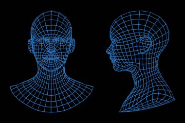 Three dimensional mesh image of a woman face front and side view.