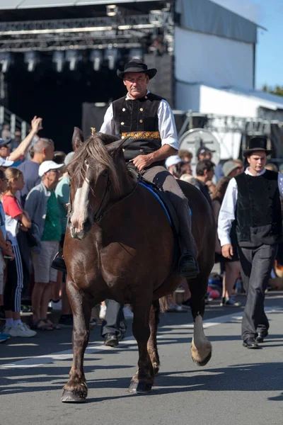 Stock image Quimper, France - July 24 2022: Rider in traditional Breton dress riding a Trait Breton during the Cornouaille festival.